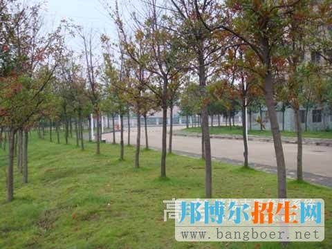 武漢工程科技學院校園一角10895