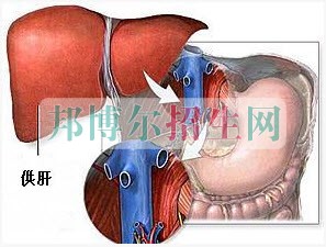 成都高中生讀麻醉學(xué)怎么樣