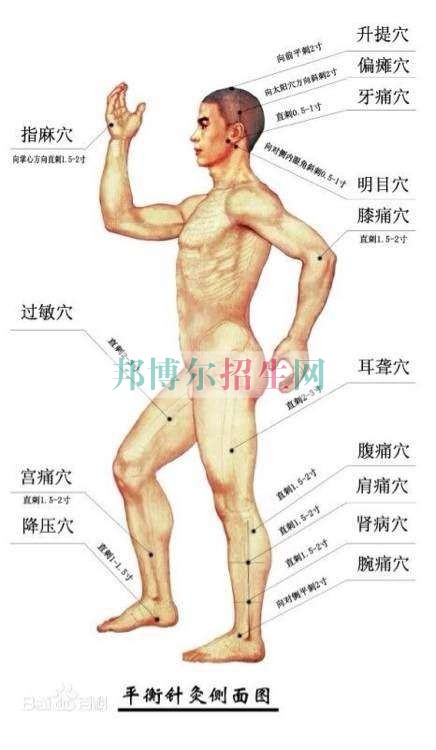 成都大專學校有哪些有針灸推拿