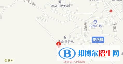 安岳縣遠大科技職業(yè)學(xué)校2022年地址在哪里