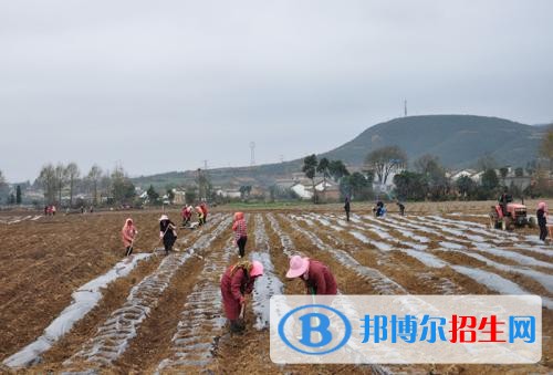 曲靖中專學校好還是大專好