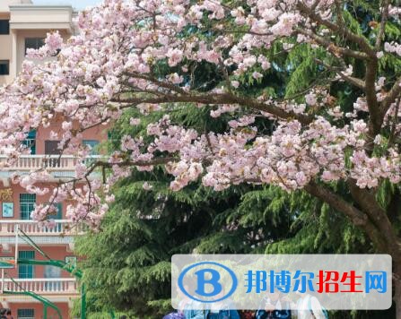 安順第三高級中學2019年報名條件、招生要求、招生對象