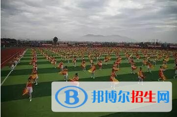 渤海船舶職業(yè)學(xué)院單招2019年單獨(dú)招生成績查詢、網(wǎng)址入口