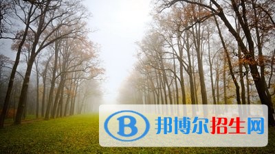 廈門興才職業(yè)技術學院單招2019年報名條件、招生要求、招生對象