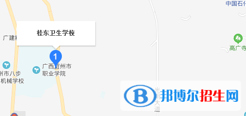 桂東衛(wèi)生學校地址在哪里