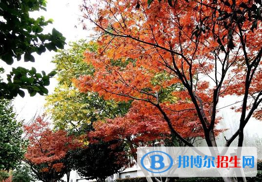 建德千島交通職業(yè)學校怎么樣、好不好