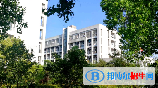 合肥科技職業(yè)學院2020年招生代碼