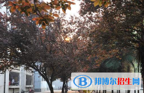 棗陽第二職業(yè)高級(jí)中學(xué)4