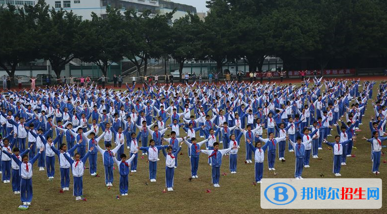 深圳石巖公學(xué)學(xué)校國際部小學(xué)地址在哪里