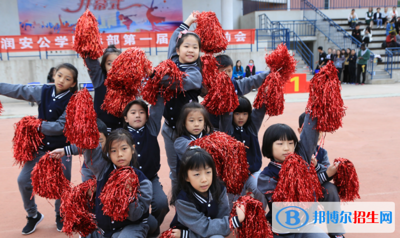 合肥潤安公學小學部2020年學費、收費多少