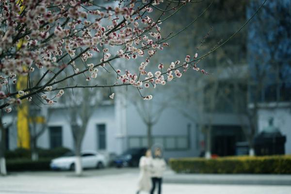 鹽城幼兒師范高等?？茖W(xué)校怎么樣、好不好