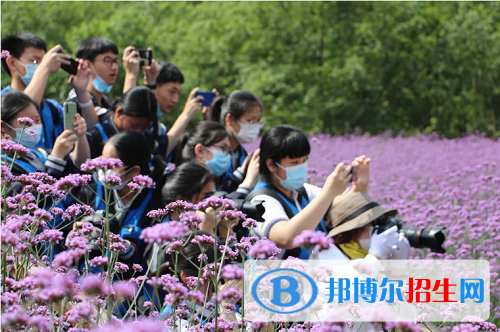 樂(lè)清雁蕩山旅游學(xué)校有哪些專業(yè)