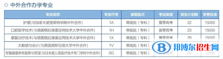 濱州職業(yè)學(xué)院有哪些中外合作辦學(xué)專業(yè)？（附名單）