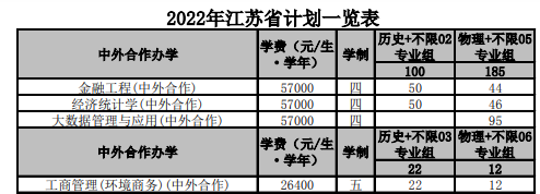 南京財(cái)經(jīng)大學(xué)中外合作辦學(xué)專業(yè)有哪些？