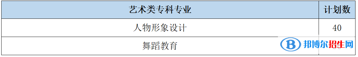 山東女子學(xué)院藝術(shù)類專業(yè)有哪些？