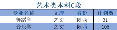 延安大學(xué)藝術(shù)類專業(yè)有哪些？