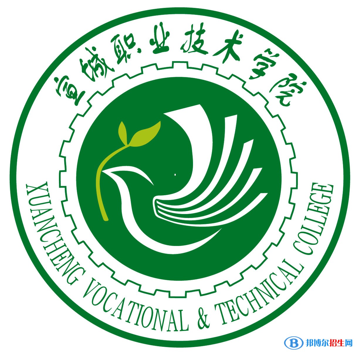 宣城職業(yè)技術學院藝術類專業(yè)有哪些？