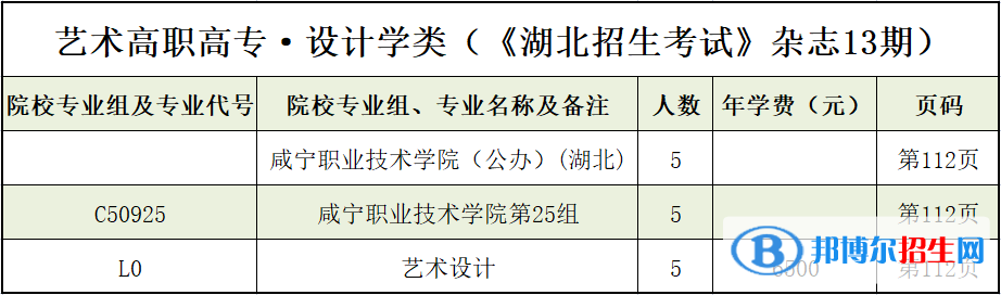 咸寧職業(yè)技術(shù)學(xué)院藝術(shù)類專業(yè)有哪些？