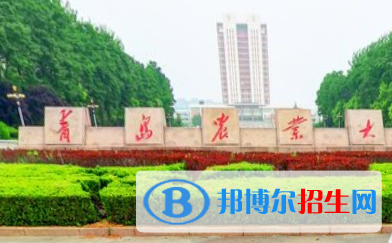 歷年青島農(nóng)業(yè)大學(xué)2022全國排名榜(軟科+校友會(huì)）-2023參考