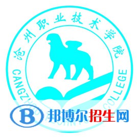 滄州職業(yè)技術學院是大專還是中專(滄州職業(yè)技術學院)