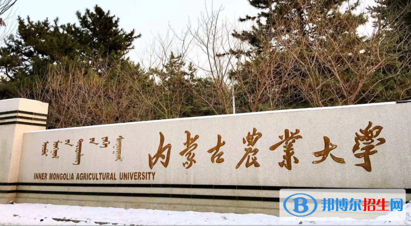 2023內(nèi)蒙古理科410分左右能上什么好大學（本省大學+外省大學）