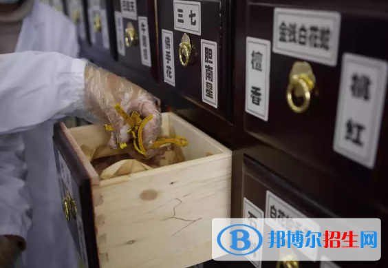 杭州2023年中專學(xué)校學(xué)什么好找工作