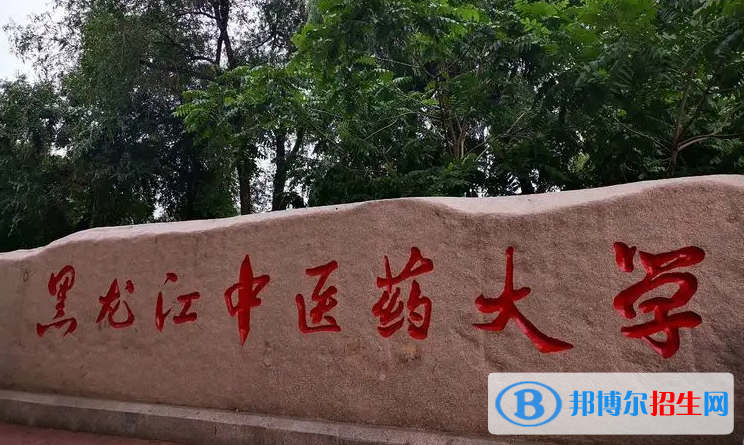 2023黑龍江理科370分左右能上什么好大學(xué)（本省大學(xué)+外省大學(xué)）