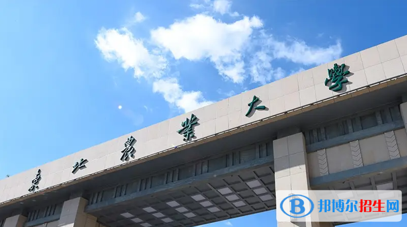 2023黑龍江文科520分左右能上什么好大學(xué)（本省大學(xué)+外省大學(xué)）