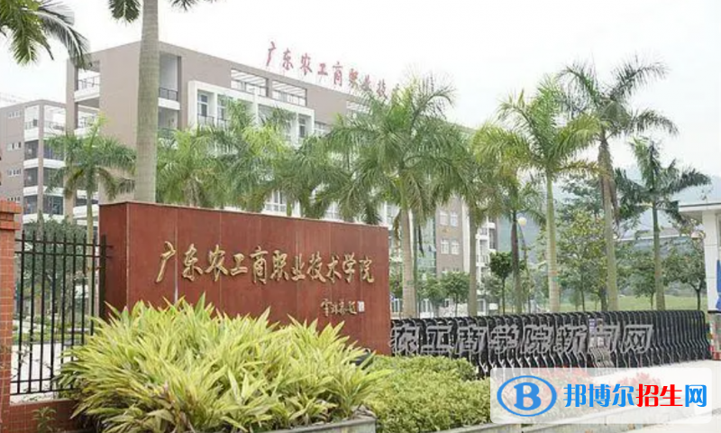 2023廣東歷史類295分左右能上什么好大學(xué)（本省大學(xué)+外省大學(xué)）