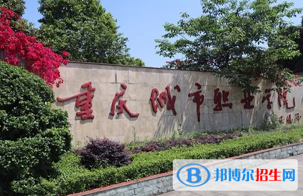 2023重慶物理類275分左右能上什么好大學(xué)（本省大學(xué)+外省大學(xué)）