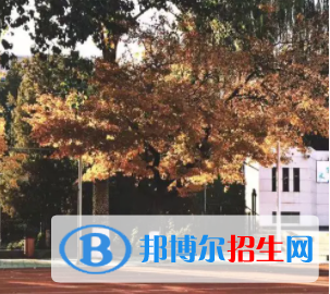 中國大學(xué)日語專業(yè)排名（2022研究型）