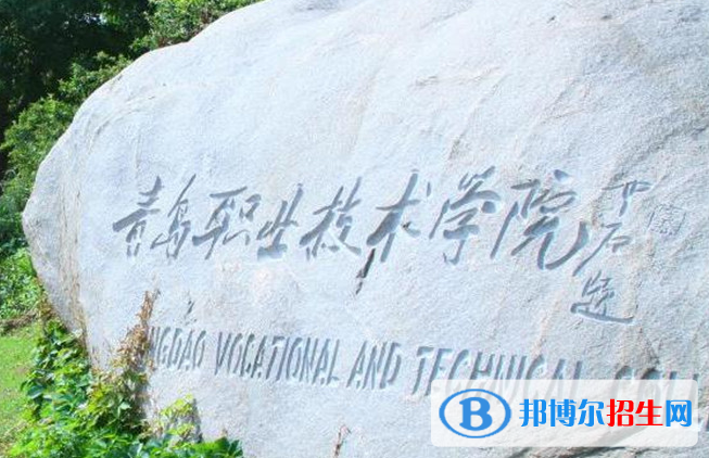 青島職業(yè)技術(shù)學(xué)院?jiǎn)握性趺礃樱? width=