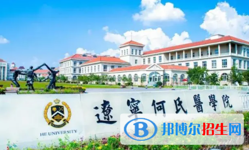 遼寧何氏醫(yī)學院是不是雙一流大學嗎？