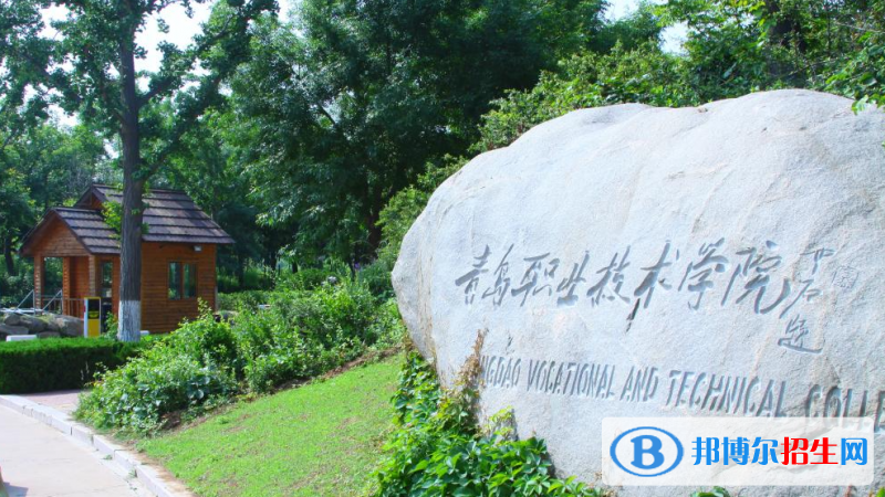 青島職業(yè)技術(shù)學(xué)院有哪些中外合作辦學(xué)專業(yè)？（附名單）