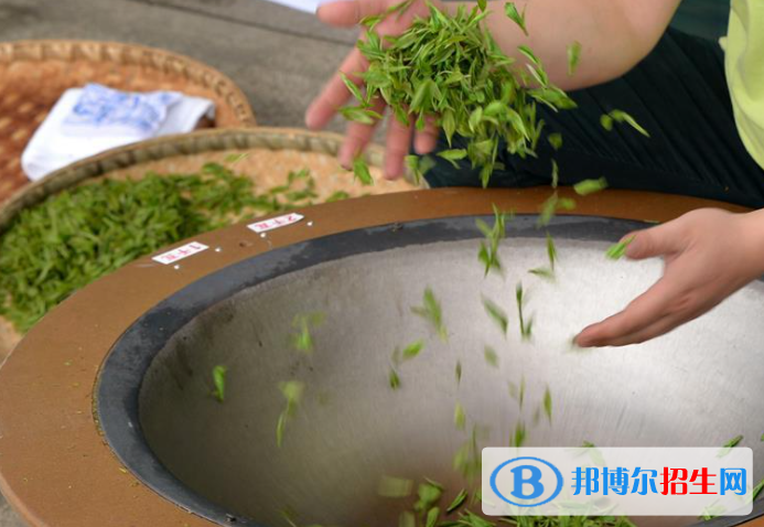 貴州省茶技術(shù)茶文化學(xué)校2023年招生辦聯(lián)系電話