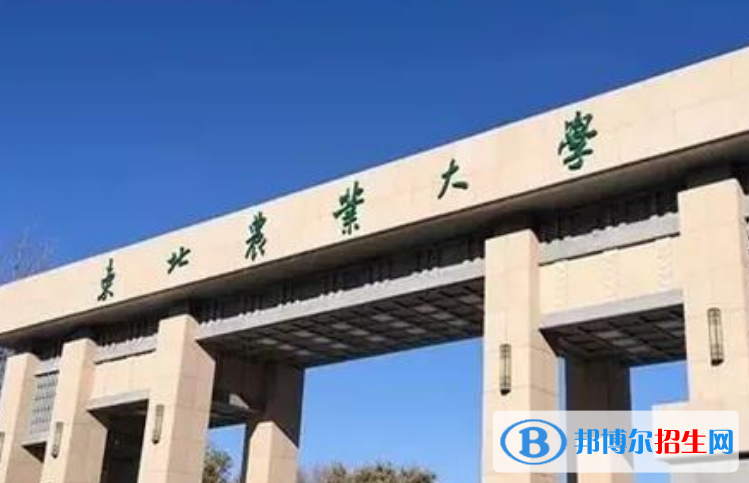 東北農(nóng)業(yè)大學(xué)最新全國排名第122（2023參考）