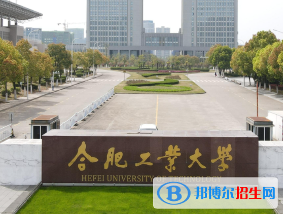 2023年合肥工業(yè)大學美術類專業(yè)招生簡章