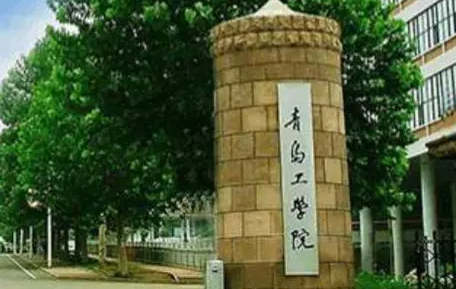 山西大學和青島工學院怎么選？哪個好？附分數(shù)線