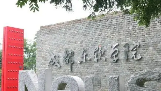 中央財經(jīng)大學(xué)和成都東軟學(xué)院怎么選？哪個好？附分?jǐn)?shù)線