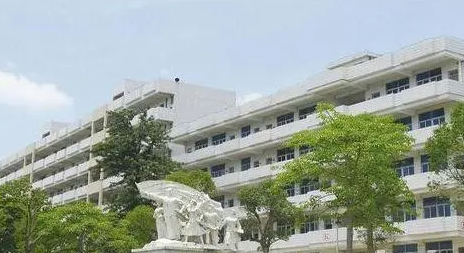 2023陽江公辦護理學校有哪些 陽江公辦護理學校名單一覽表