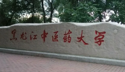 中國(guó)大學(xué)中醫(yī)康復(fù)學(xué)專業(yè)排名（研究型）-校友會(huì)2023最新排名