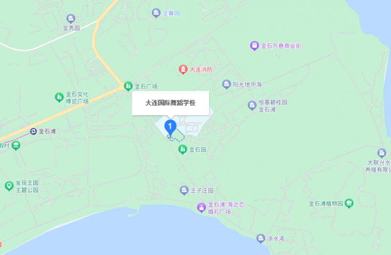 大連國(guó)際舞蹈學(xué)校地址，乘車(chē)路線