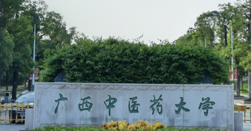 2024廣西中醫(yī)藥大學(xué)專業(yè)排行榜 