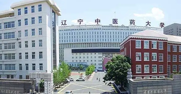 2024遼寧中醫(yī)藥大學專業(yè)排行榜 