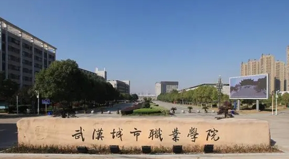 2024武漢城市職業(yè)學(xué)院專業(yè)排行榜 