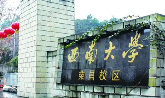 2024西南大學(xué)(榮昌校區(qū))專業(yè)排行榜 