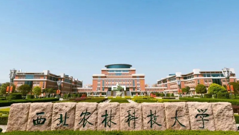 2024中國(guó)三線城市大學(xué)ABC排名