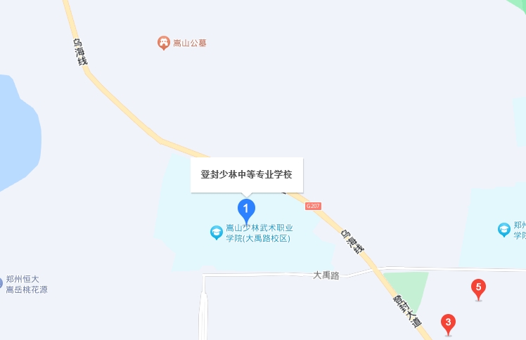 登封林峰少林武術(shù)中等專業(yè)學校地址，乘車路線