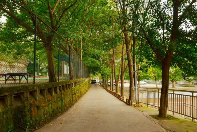 重慶市二十八中地址，乘車路線