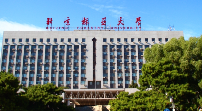 上海高考529分能上什么大學(xué)（2024年參考）